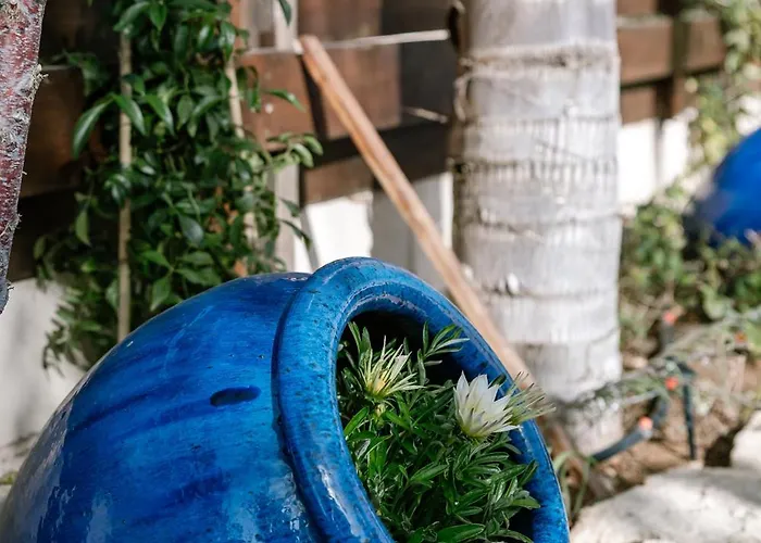 别墅 Myria, 3bd, Private Pool, Garden, Bbq, Near The In Kisonerga *