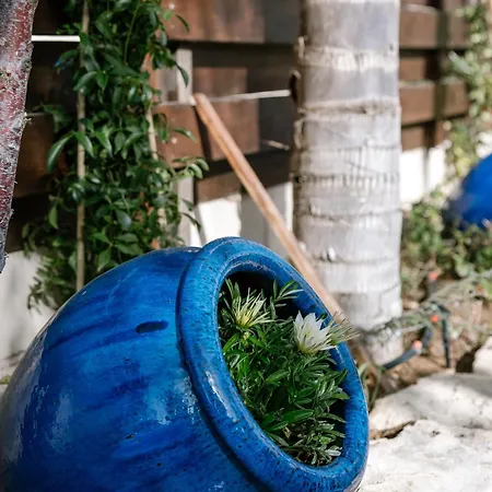 וילה Myria, 3bd, Private Pool, Garden, Bbq, Near The In Kisonerga *